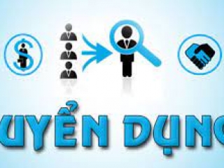 Tuyển Dụng 2 Nhân Viên Nhập Liệu -Recruitment Data Entry Staffs (2 Persons)